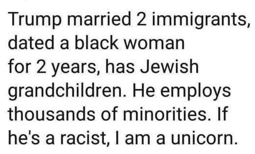 we met for a reason quotes - Trump married 2 immigrants, dated a black woman for 2 years, has Jewish grandchildren. He employs thousands of minorities. If he's a racist, I am a unicorn.