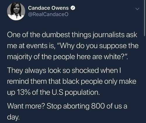paul rudd weird al meme - Candace Owens One of the dumbest things journalists ask me at events is, "Why do you suppose the remind them that black people only make up 13% of the U.S population. Want more? Stop aborting 800 of us a day.