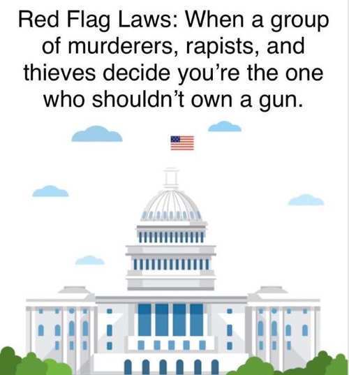 landmark - Red Flag Laws When a group of murderers, rapists, and thieves decide you're the one who shouldn't own a gun. Mi