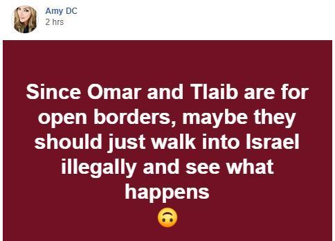 Amy Dc 2 hrs Amy Dc Since Omar and Tlaib are for open borders, maybe they should just walk into Israel illegally and see what happens