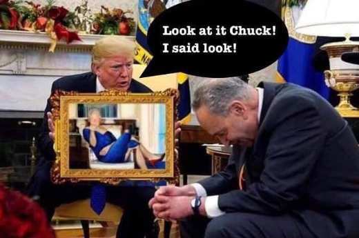 chuck schumer and trump - Look at it Chuck! I said look!