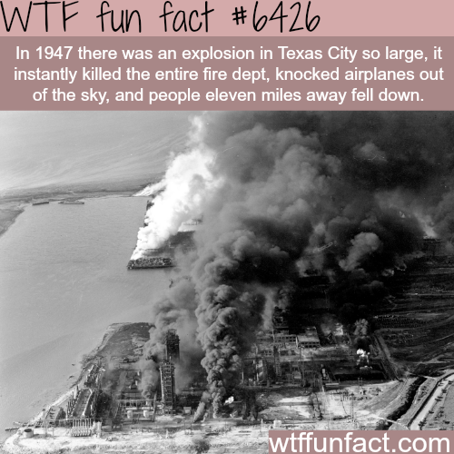 wtf facts texas - Wtf fun fact In 1947 there was an explosion in Texas City so large, it instantly killed the entire fire dept, knocked airplanes out of the sky, and people eleven miles away fell down. wtffunfact.com