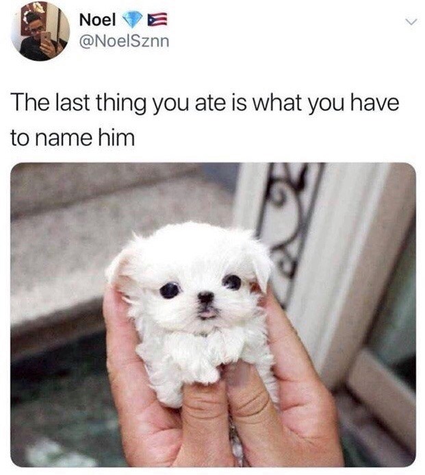 last thing you ate is what you have to name him - Noel E The last thing you ate is what you have to name him