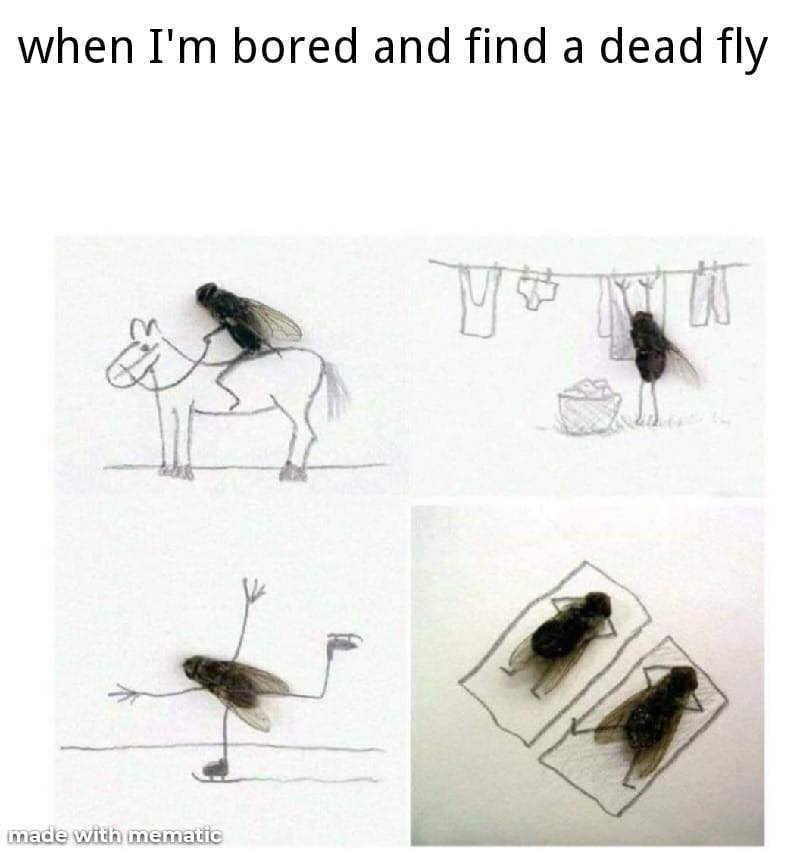 drawing - when I'm bored and find a dead fly made with mematic