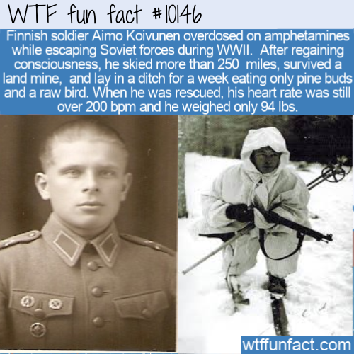 finnish soldier ww2 - Wtf fun fact Finnish soldier Aimo Koivunen overdosed on amphetamines while escaping Soviet forces during Wwii. After regaining consciousness, he skied more than 250 miles, survived a land mine, and lay in a ditch for a week eating on
