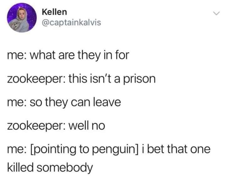 document - Kellen Kelaptainkalvis me what are they in for zookeeper this isn't a prison me so they can leave zookeeper well no me pointing to penguin i bet that one killed somebody