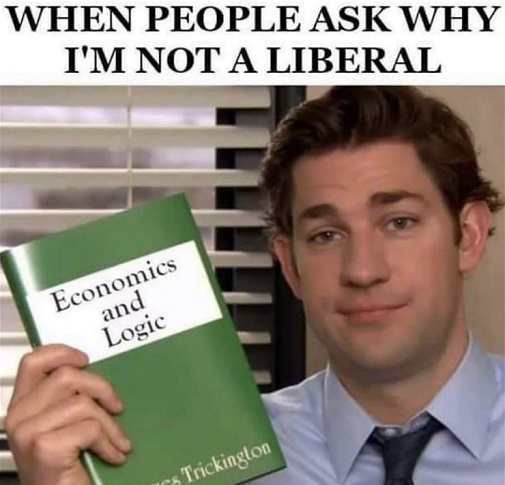 liberal memes - When People Ask Why I'M Not A Liberal Economics and Logic Trickington