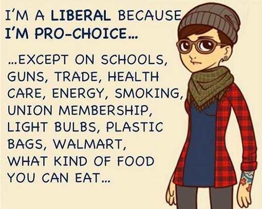 liberal meaning - I'M A Liberal Because I'M ProChoice... ...Except On Schools, Guns, Trade, Health Care, Energy, Smoking, Union Membership Light Bulbs, Plastic Bags, Walmart, What Kind Of Food You Can Eat...