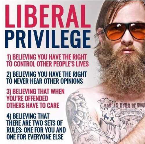 offended liberal meme - Liberal Privilege 1 Believing You Have The Right To Control Other People'S Lives 2 Believing You Have The Right To Never Hear Other Opinions 3 Believing That When You'Re Offended Others Have To Care 4 Believing That There Are Two S
