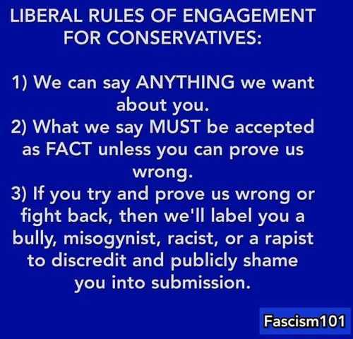 atmosphere - Liberal Rules Of Engagement For Conservatives 1 We can say Anything we want about you. 2 What we say Must be accepted as Fact unless you can prove us wrong. 3 If you try and prove us wrong or fight back, then we'll label you a bully, misogyni