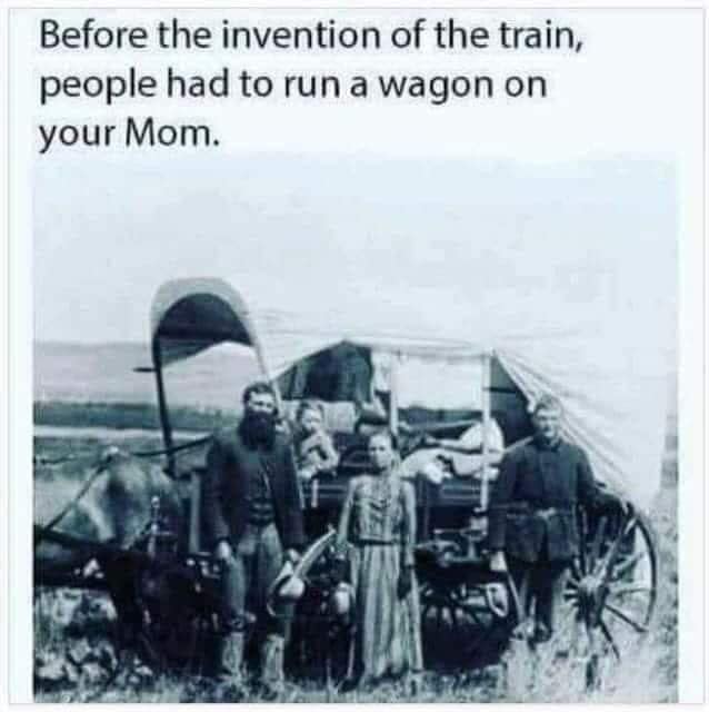 homestead act - Before the invention of the train, people had to run a wagon on your Mom.