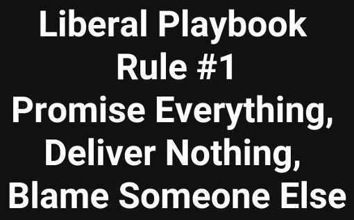 you can have my sloppy seconds - Liberal Playbook Rule Promise Everything, Deliver Nothing, Blame Someone Else