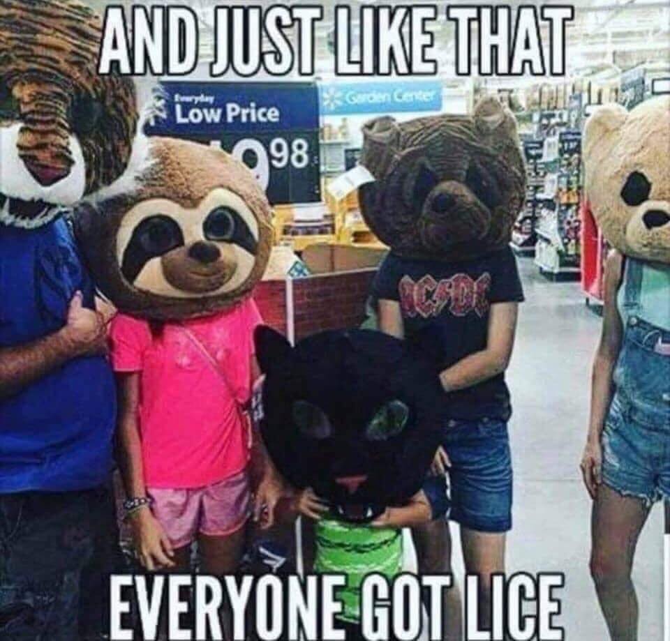 just like that they all got lice - And Just That Low Price Garden Center 98 Everyone Got Lice