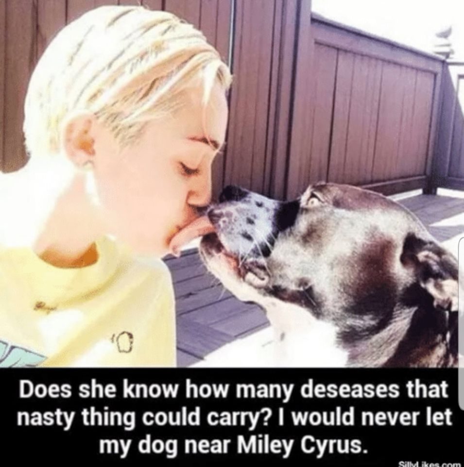dog kisses miley cyrus - Does she know how many deseases that nasty thing could carry? I would never let my dog near Miley Cyrus. Silvikes.com