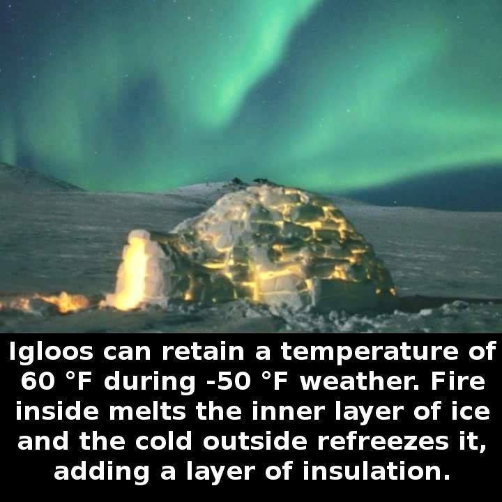 Igloo - Igloos can retain a temperature of 60 F during 50 F weather. Fire inside melts the inner layer of ice and the cold outside refreezes it, adding a layer of insulation.