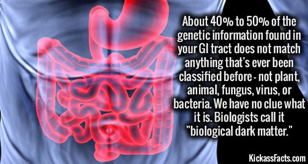 About 40% to 50% of the genetic information found in your Gi tract does not match anything that's ever been classified before not plant, ani animal, fungus, virus, or bacteria. We have no clue what it is. Biologists call it "biological dark matter." V…