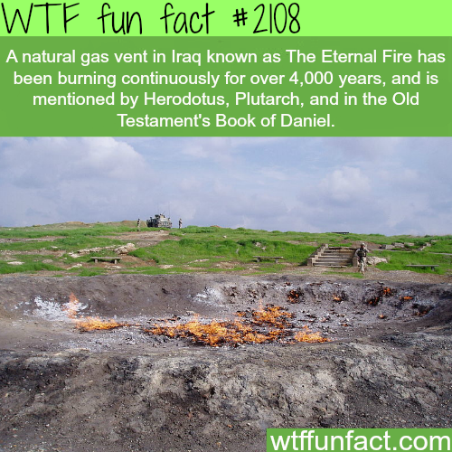 baba gurgur - Wtf fun fact A natural gas vent in Iraq known as The Eternal Fire has been burning continuously for over 4,000 years, and is mentioned by Herodotus, Plutarch, and in the Old Testament's Book of Daniel. wtffunfact.com