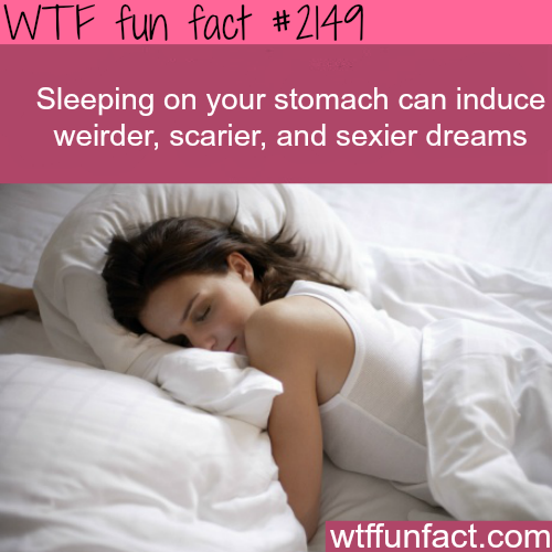 wtf sleeping facts - Wtf fun fact Sleeping on your stomach can induce weirder, scarier, and sexier dreams wtffunfact.com