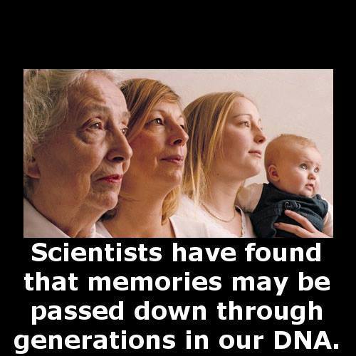 photo caption - Scientists have found that memories may be passed down through generations in our Dna.