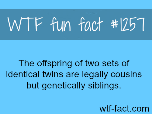 stadium australia - Wtf fun fact The offspring of two sets of identical twins are legally cousins but genetically siblings. wtffact.com