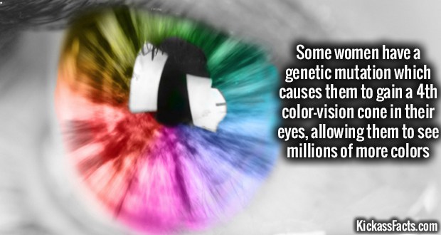 vision eyes - Some women have a genetic mutation which causes them to gain a 4th colorvision cone in their eyes, allowing them to see millions of more colors KickassFacts.com