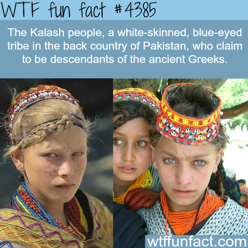 kalash people - Wtf fun fact The Kalash people, a whiteskinned, blueeyed tribe in the back country of Pakistan, who claim to be descendants of the ancient Greeks. wtffunfact.com