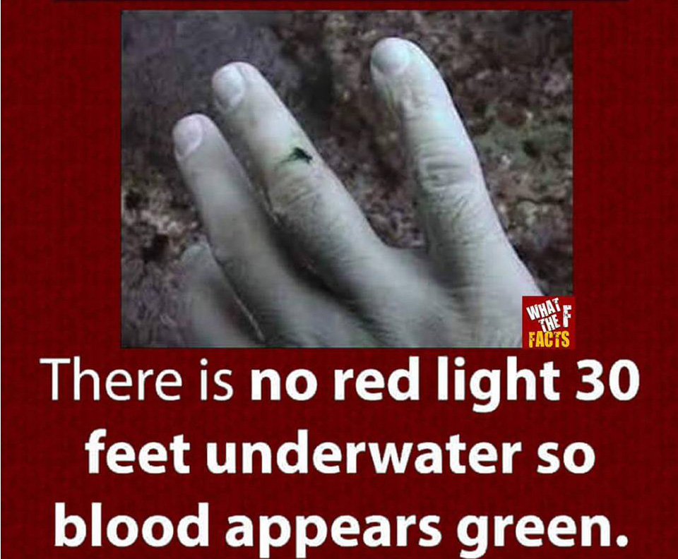 nail - What The Facts There is no red light 30 feet underwater so blood appears green.