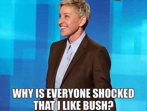 everyone shocked that i like bush - Why Is Everyone Shocked That I Bush?