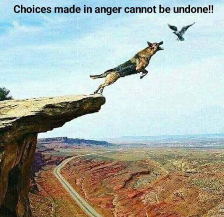 three lessons - Choices made in anger cannot be undone!!