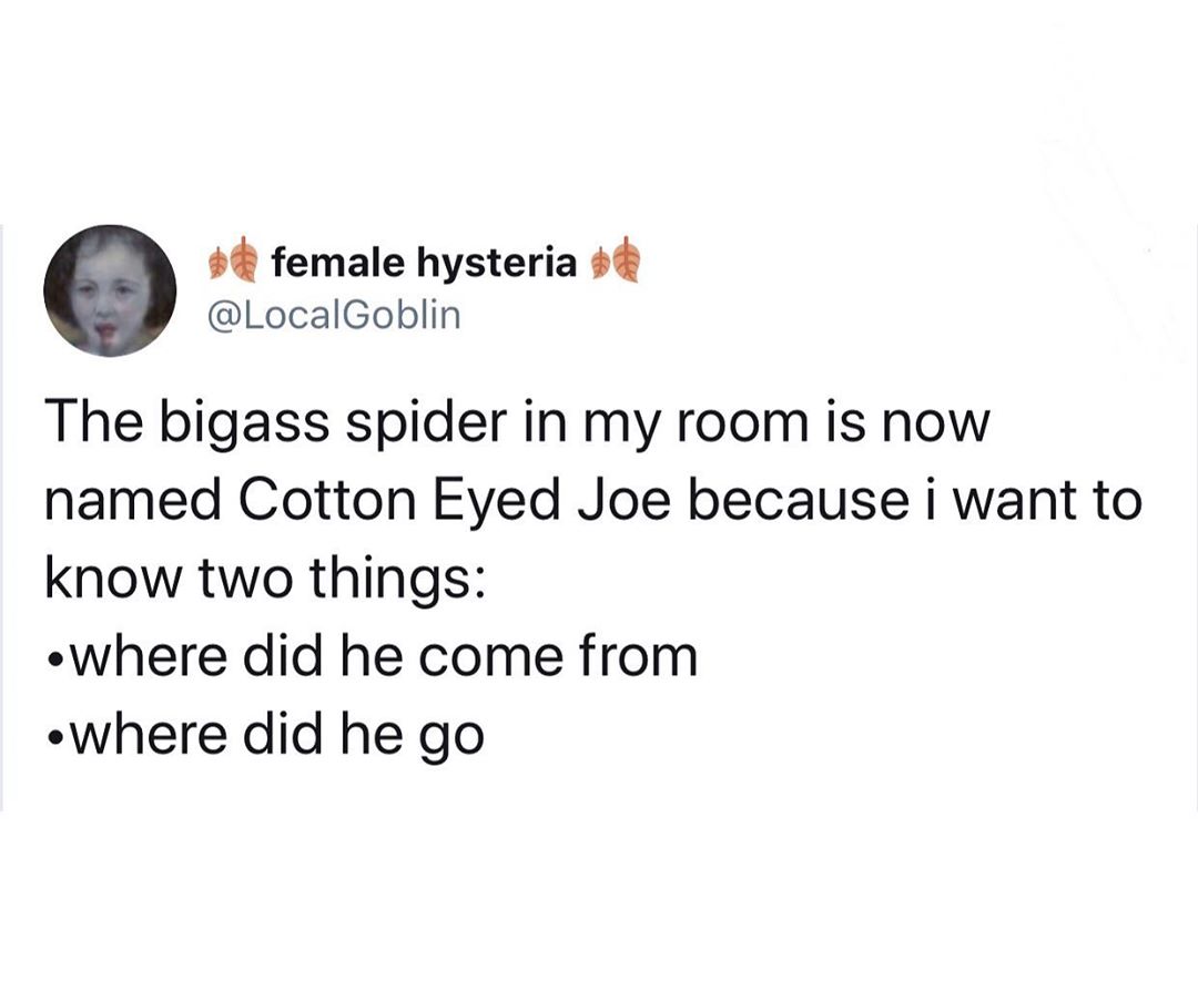 point - female hysteria be The bigass spider in my room is now named Cotton Eyed Joe because i want to know two things Where did he come from Where did he go