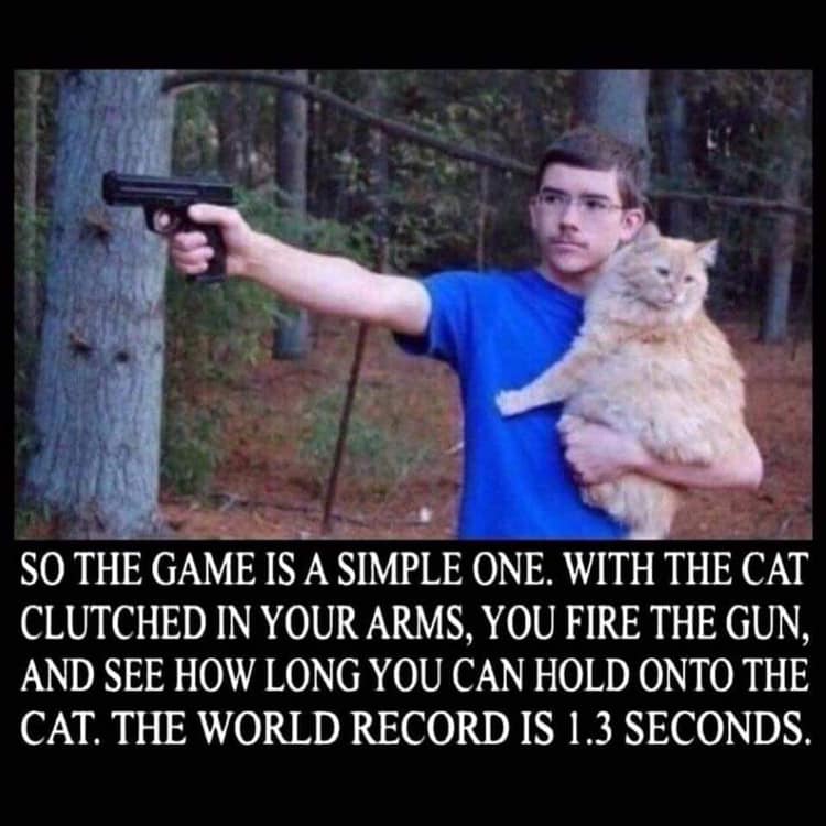 so the game is a simple one - So The Game Is A Simple One. With The Cat Clutched In Your Arms, You Fire The Gun, And See How Long You Can Hold Onto The Cat. The World Record Is 1.3 Seconds.