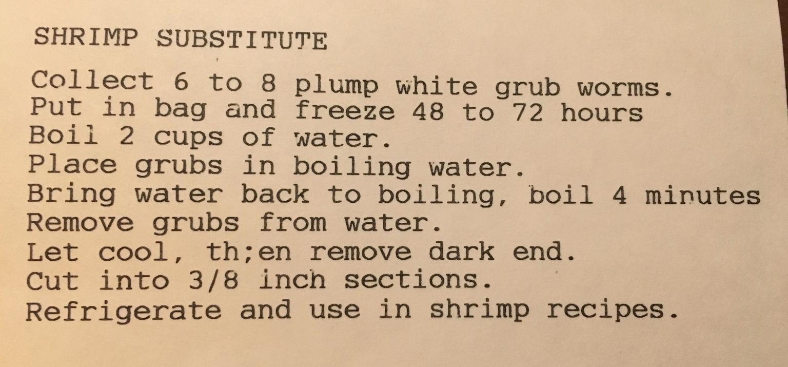 handwriting - Shrimp Substitute Collect 6 to 8 plump white grub worms. Put in bag and freeze 48 to 72 hours Boil 2 cups of water. Place grubs in boiling water. Bring water back to boiling, boil 4 minutes Remove grubs from water. Let cool, th; en remove da