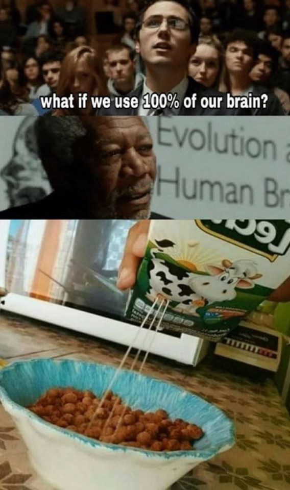 100% brain meme - what if we use 100% of our brain? Evolution Human Br