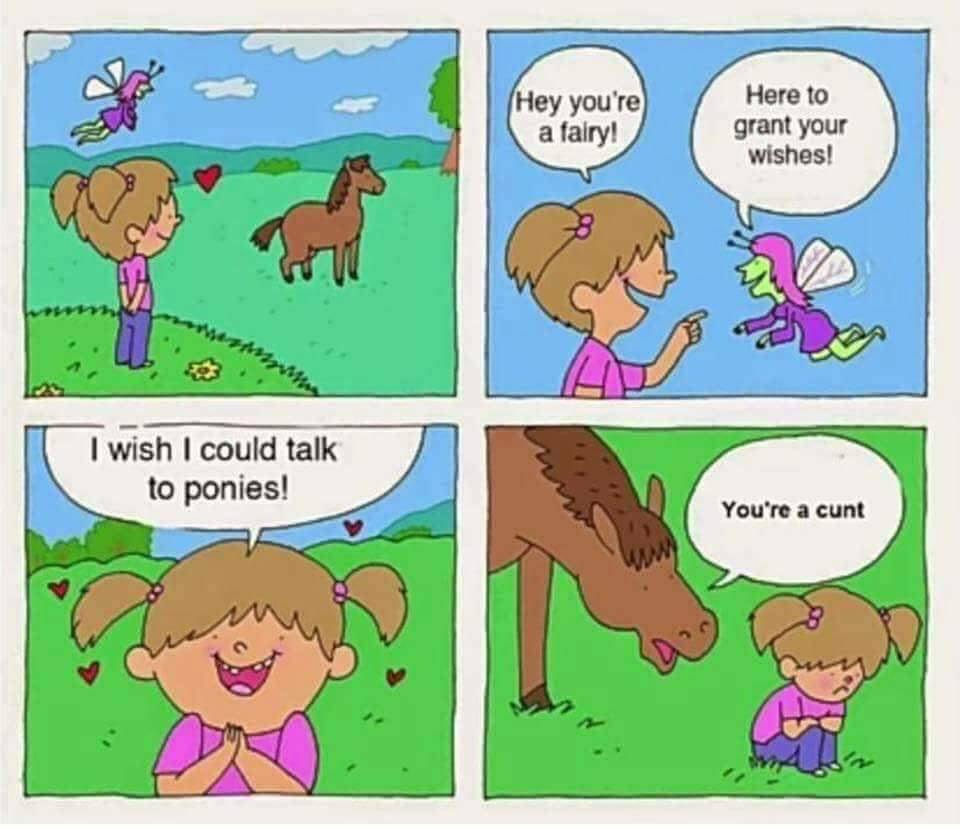 wish i could talk to ponies - Hey you're a falry! Here to grant your wishes! I wish I could talk to ponies! You're a cunt