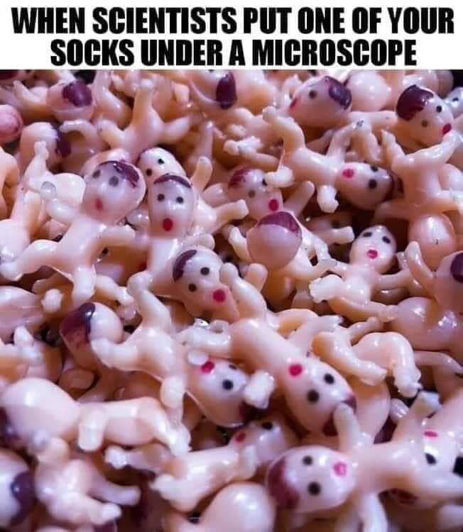 recipe - When Scientists Put One Of Your Socks Under A Microscope