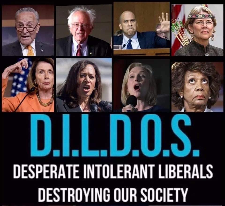 democrat dildos - Dildos. Desperate Intolerant Liberals Destroying Our Society