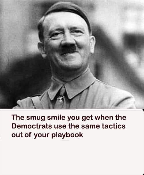 all i want for christmas is jew - The smug smile you get when the Democtrats use the same tactics out of your playbook