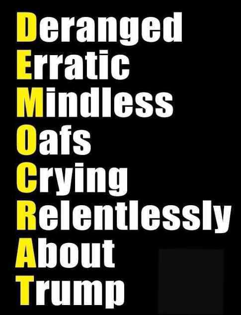 angle - Deranged Erratic Mindless Oafs Crying Relentlessly About Trump
