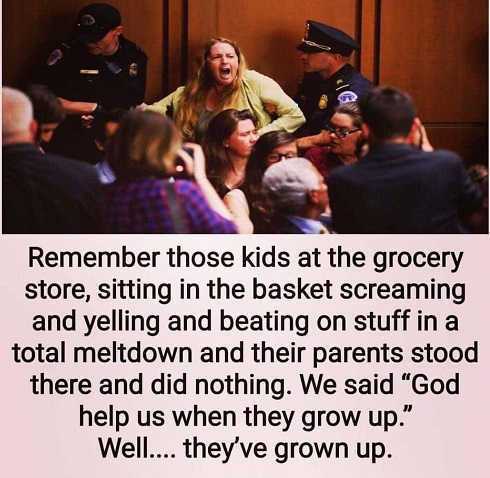 kids thinking their grown meme - Remember those kids at the grocery store, sitting in the basket screaming and yelling and beating on stuff in a total meltdown and their parents stood there and did nothing. We said "God help us when they grow up." Well...