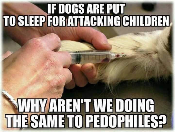 kill pedophile memes - If Dogs Are Put To Sleep For Attacking Children Why Aren'T We Doing The Same To Pedophiles?