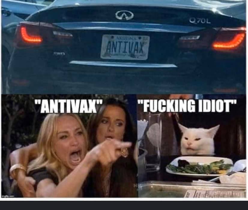 woman yelling at cat meme southern - Q70L Xornare Antivax "Antivax" "Fucking Idiot"