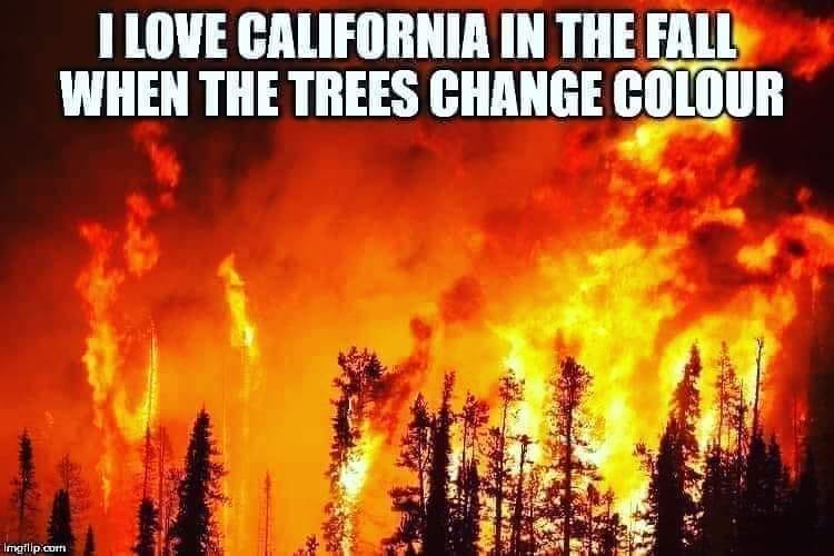 forest fires - I Love California In The Fall When The Trees Change Colour Imgflip.corti