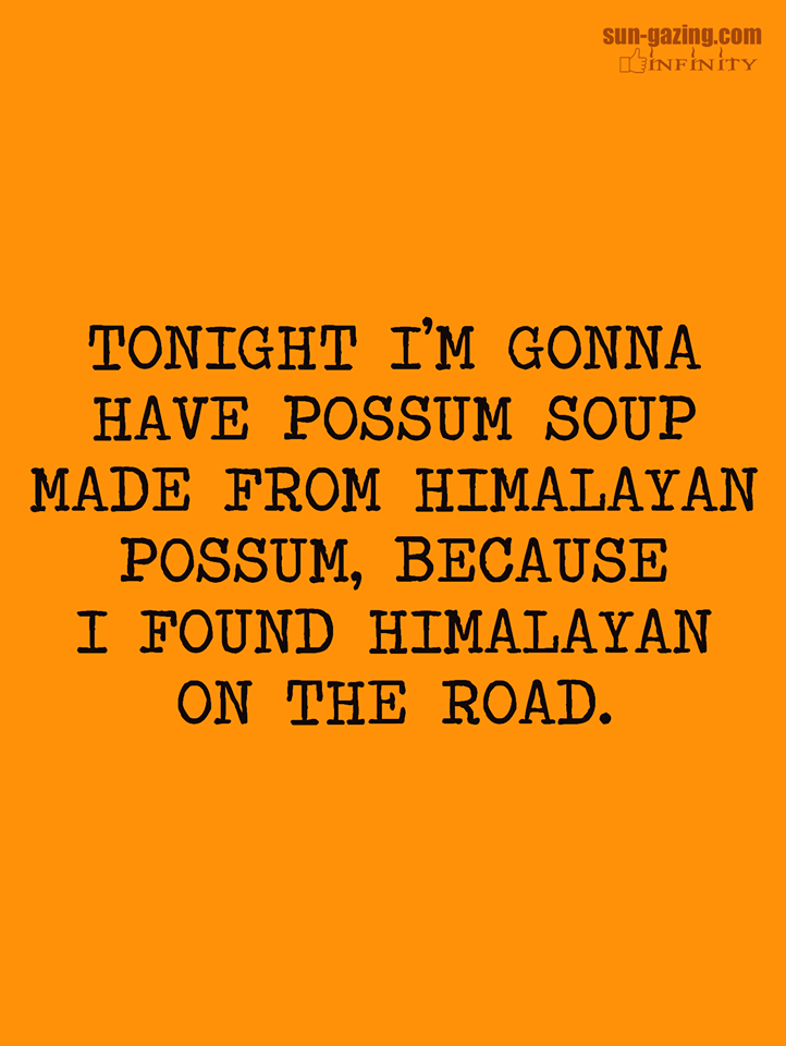 random orange - sungazing.com WinFNTY Tonight I'M Gonna Have Possum Soup Made From Himalayan Possum, Because I Found Himalayan On The Road.