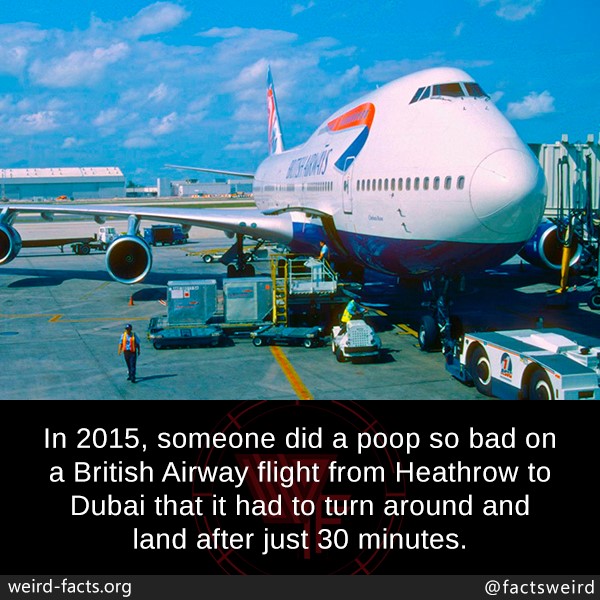random 2015 someone did a poop so bad - In 2015, someone did a poop so bad on a British Airway flight from Heathrow to Dubai that it had to turn around and land after just 30 minutes. weirdfacts.org