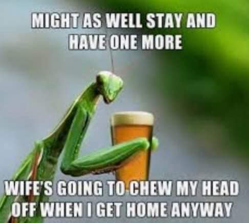 meme - Might As Well Stay And Have One More Wife'S Going To Chew My Head Off When I Get Home Anyway