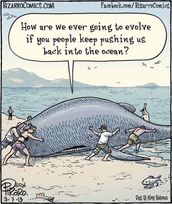 we ever going to evolve if you people keep pushing us back into the ocean - Bizarrocomics.Com Facebook.comBizarroComics How are we ever going to evolve if you people keep pushing us back into the ocean? Ann 783 Aband koopan Firare. . 3.7.13 ...Mr Dist. y 