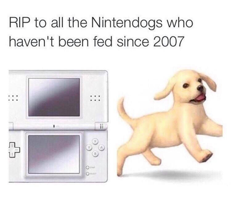 rip nintendogs - Rip to all the Nintendogs who haven't been fed since 2007