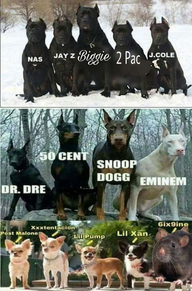 eminem dog meme - Nas Jay Z Biggie 2 Pac J.Cole c250 Cent Snoop Dogg Eminem Dr. Dre 6ix9ine Xxxtentacion Post Malone Lil Pump Lil Xan