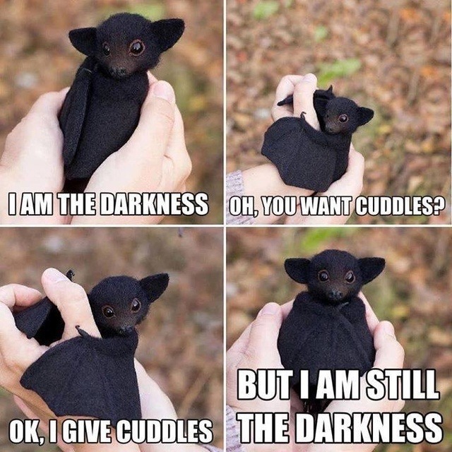 am the darkness bat - I Am The Darkness Oh, You Want Cuddles? But I Am Still Ok, I Give Cuddles The Darkness