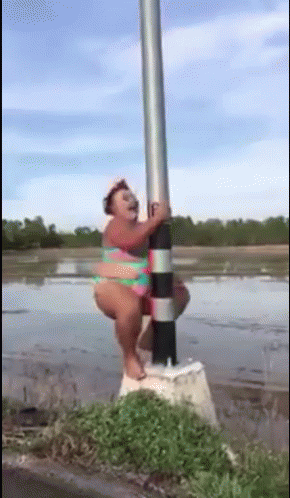 pole dancing meme